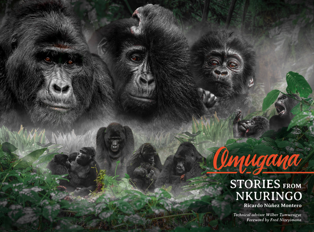 bwindi impenetrable forest