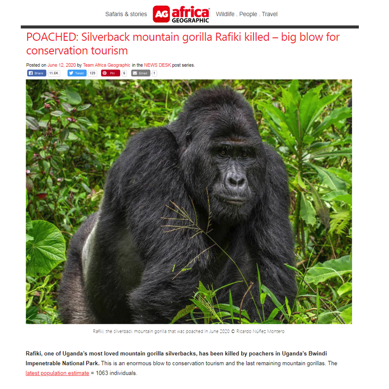 bwindi impenetrable forest